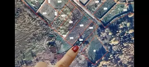 Участок в Владимирская область, Александровский муниципальный округ, ...