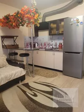 Студия Челябинская область, Челябинск ул. 2-я Эльтонская, 62 (24.4 м)