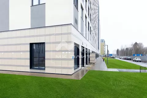 Помещение свободного назначения в Санкт-Петербург аллея Арцеуловская, ...