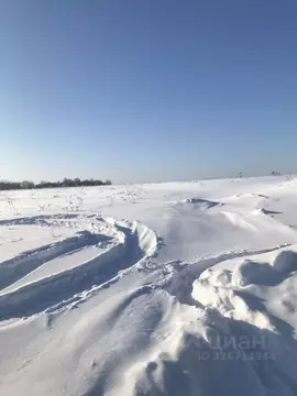 Участок в Московская область, Зарайск муниципальный округ, д. ...