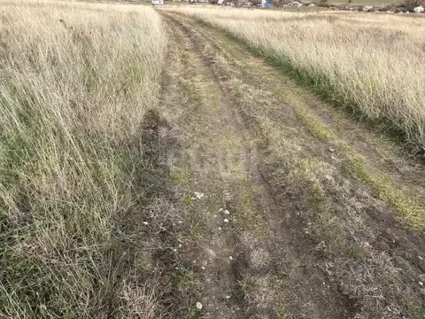 Участок в Крым, Симферопольский район, Чистенское с/пос, с. Камышинка  ...