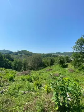 Участок в Краснодарский край, Сочи городской округ, с. Горное Лоо ул. ...