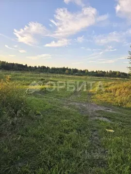 Участок в Тюменская область, Тюмень  (9.0 сот.)