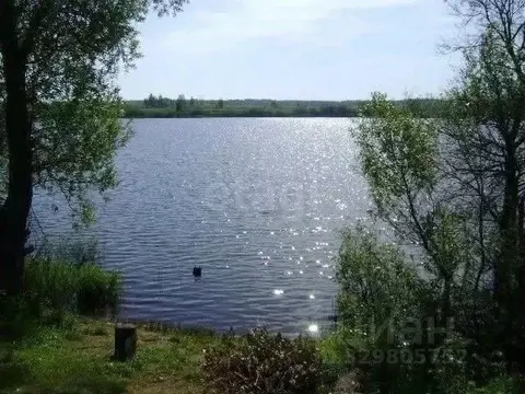 Участок в Ярославская область, Некрасовский муниципальный округ, ...