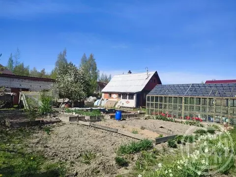 Участок в Санкт-Петербург, Санкт-Петербург, Павловск Звездочка СНТ, ...