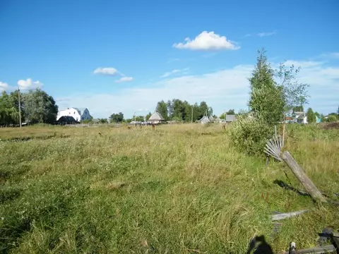 Участок в Брянская область, Навлинский район, пос. Синезерки  (10.0 ...