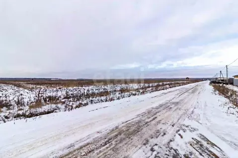 Участок в Тюменская область, Тюменский муниципальный округ, д. Елань  ...