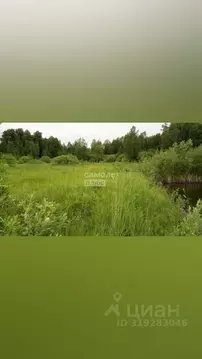 Участок в Тюменская область, Нижнетавдинский район, Геофизик 2 СНТ  ...