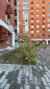 1-к кв. Татарстан, Казань Маршрутная ул., 15к3 (35.1 м)