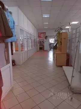 Торговая площадь в Пензенская область, Беково рп пл. Базарная (60 м)