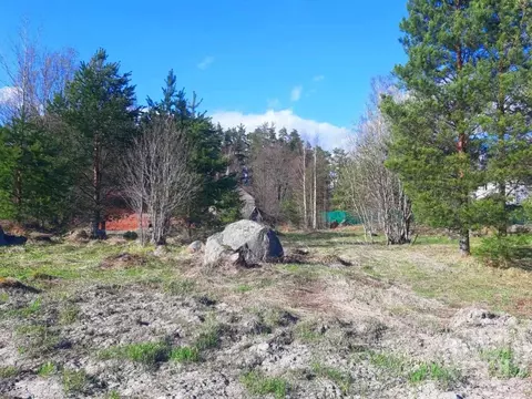 Участок в Ленинградская область, Приозерский район, Мельниковское ...