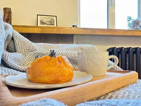 Комната Санкт-Петербург просп. Обуховской обороны, 95К1 (21.9 м)