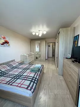 1-к кв. Нижегородская область, Нижний Новгород Бурнаковская ул., 117 ...