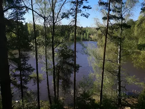 2-к кв. Ленинградская область, Всеволожский район, Токсовское ...