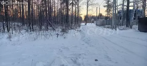 Участок в Тюменская область, Нижнетавдинский муниципальный округ, село ...
