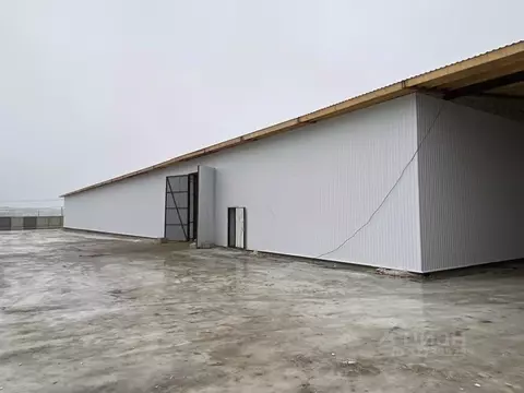 Склад в Ленинградская область, Колтуши Всеволожский район, д. Старая, ...