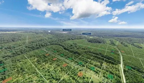 Участок в Тверская область, Ржевский муниципальный округ, д. ...