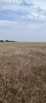 Участок в Крым, Сакский район, с. Штормовое ул. Виноградная (6.0 сот.)