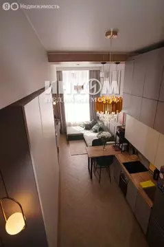 Квартира-студия: Москва, Автозаводская улица, 23к7 (20.3 м)