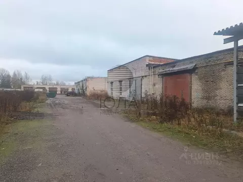 Помещение свободного назначения в Ленинградская область, Коммунар г. ...