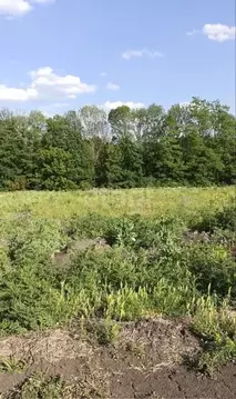 Участок в Белгородская область, Белгородский муниципальный округ, ...