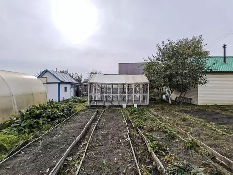 Дом в Тюменская область, Тюмень Автомобилист СНТ, ул. Яблоневая (12 м)