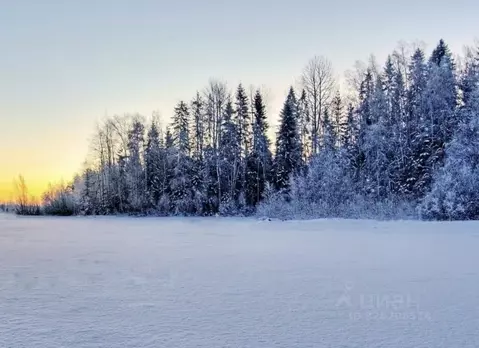 Участок в Новгородская область, Новгородский район, Ермолинское с/пос  ...