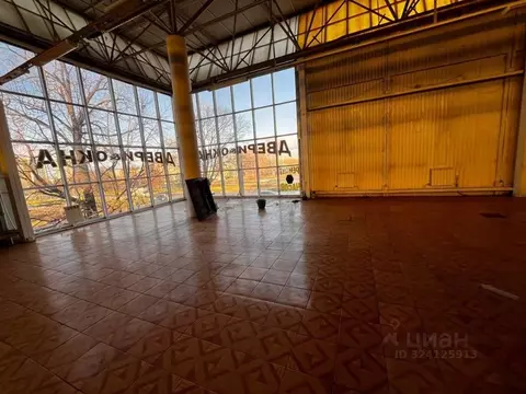 Помещение свободного назначения в Татарстан, Набережные Челны ул. ...