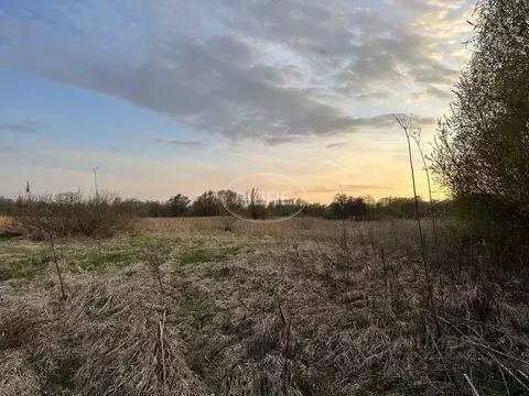 Участок в Калининградская область, Калининград Золотой Петушок ДНТ,  ...