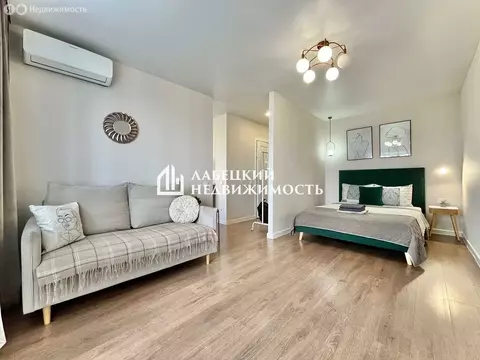 1-комнатная квартира: Казань, проспект Ибрагимова, 61 (29.5 м)