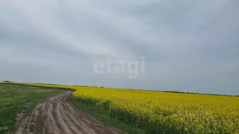 Участок в Брянская область, Брянский район, Новосельское с/пос, д. ...