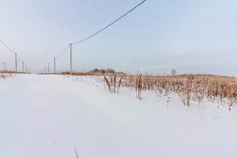 Участок в Тюменская область, Тюменский муниципальный округ, д. Большие ...