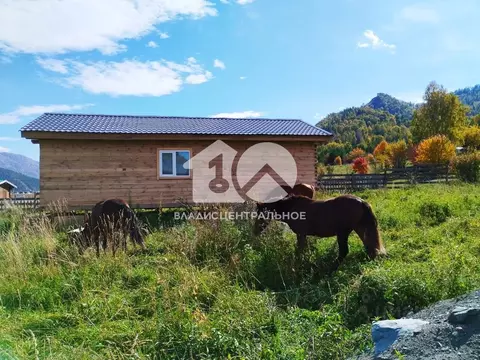 Участок в Алтай, Чемальский район, с. Анос ул. Полевая (13.0 сот.)