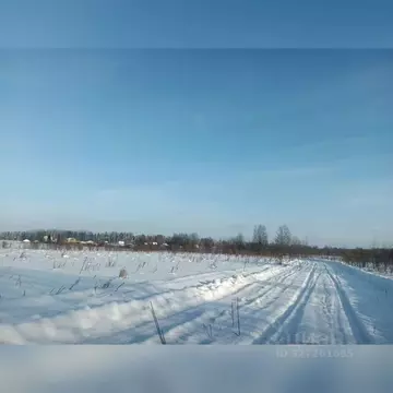 Участок в Ленинградская область, Лужский район, Мшинское с/пос, ...