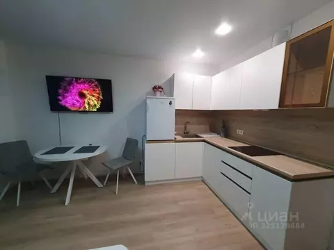 Студия Москва ул. Академика Павлова, 56к1 (27.0 м)