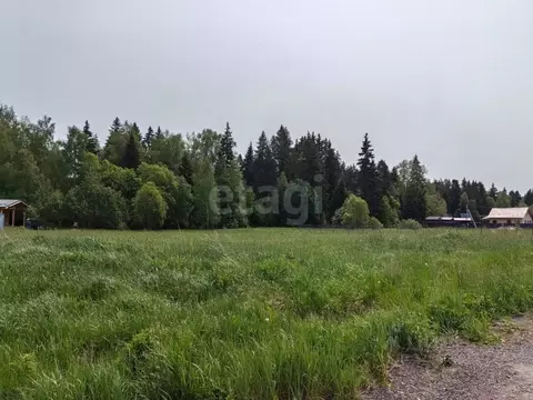 Участок в Московская область, Дмитровский муниципальный округ, Ольшаны ...