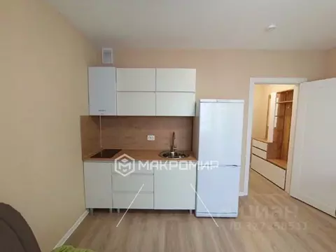 Студия Санкт-Петербург ул. Пахомовская, 23 (19.4 м)