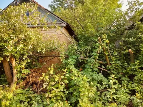 Дом в Оренбургская область, Оренбург Имени Мичурина СНТ, ул. ...