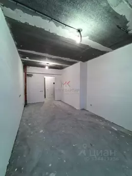 Студия Хакасия, Абакан ул. Ивана Ярыгина, 33/1 (27.9 м)