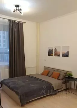 Студия Ленинградская область, Мурино Всеволожский район, просп. ...