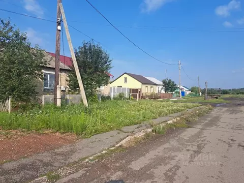 Дом в Челябинская область, Еткульский муниципальный округ, с. Шибаево ...