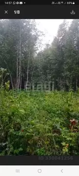 Участок в Алтай, Турочакский район, с. Артыбаш ул. Серебряная (10.0 ...