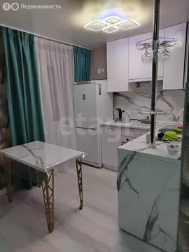 Квартира-студия: Миасс, переулок Физкультурников, 2 (30 м)