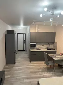 Студия Московская область, Домодедово городской округ, с. Домодедово ...