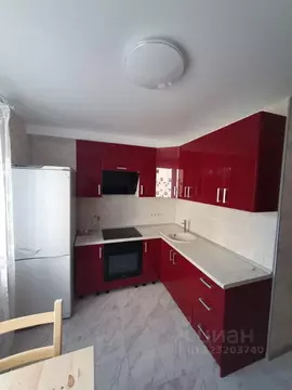 1-к кв. Нижегородская область, Нижний Новгород Краснозвездная ул., 6 ...