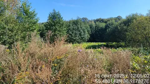 Участок в Московская область, Орехово-Зуевский городской округ, с. ...