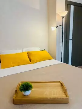 1-к кв. Самарская область, Самара Революционная ул., 101Вк2 (40.0 м)