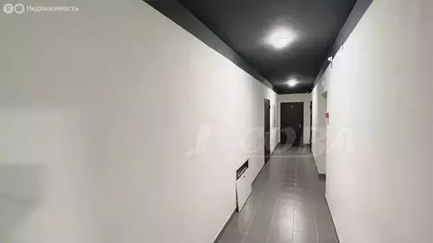 Квартира-студия: Московский, Новая улица, 17 (30 м)