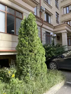 2-к кв. Дагестан, Каспийск ул. Молодежная, 8 (88.0 м)