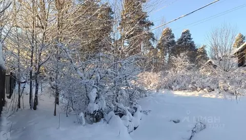 Участок в Ленинградская область, Гатчинский муниципальный округ, ...